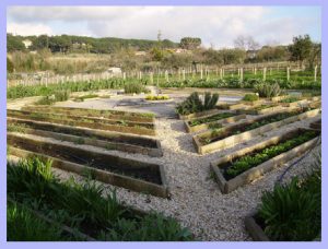 LA STAGIONALITA' DI FRUTTA E VERDURA
