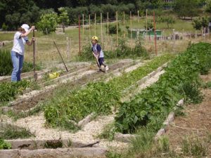 L'ABC DELL'AGRICOLTORE